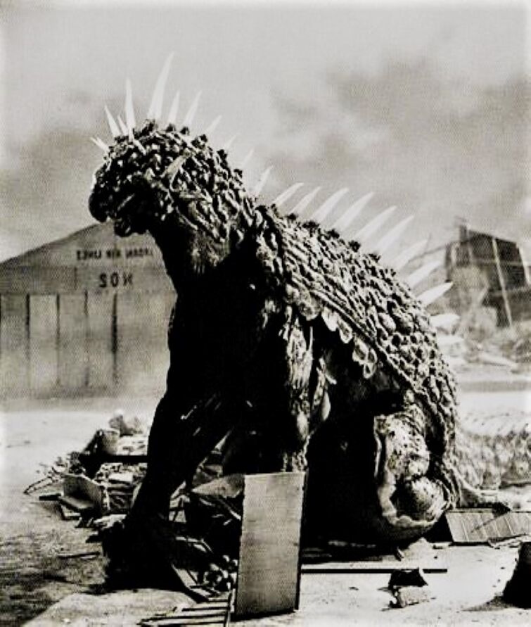 Fandom Image