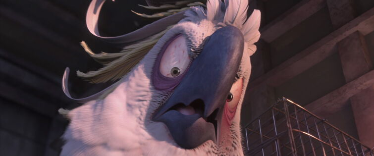 Fandom Image