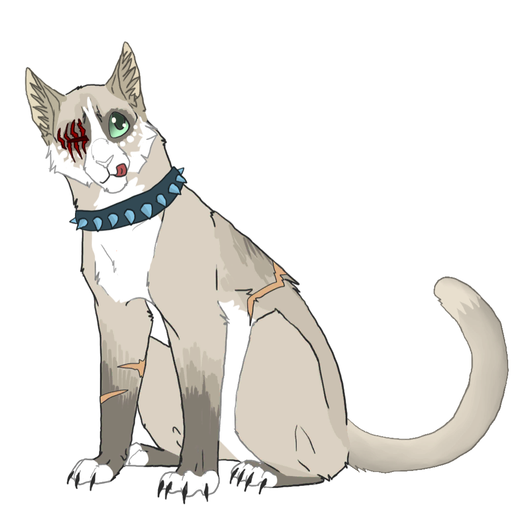 Коты воители чумазик. Коты воители ошейник. Коты воители бич. Коты воители scourge. Коты воители бич кровавый убийца.