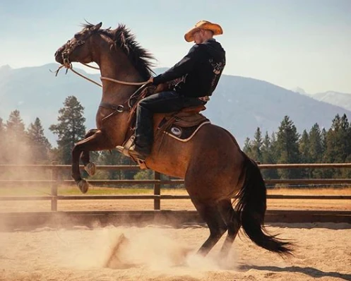 Jimmy Hurdstrom | Yellowstone | FANDOM Powered By Wikia