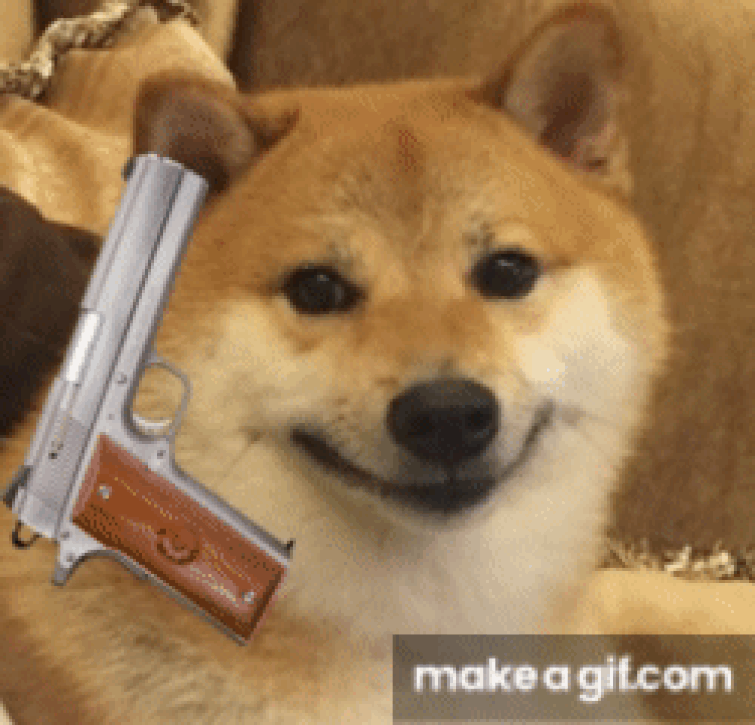 angry dogs with guns