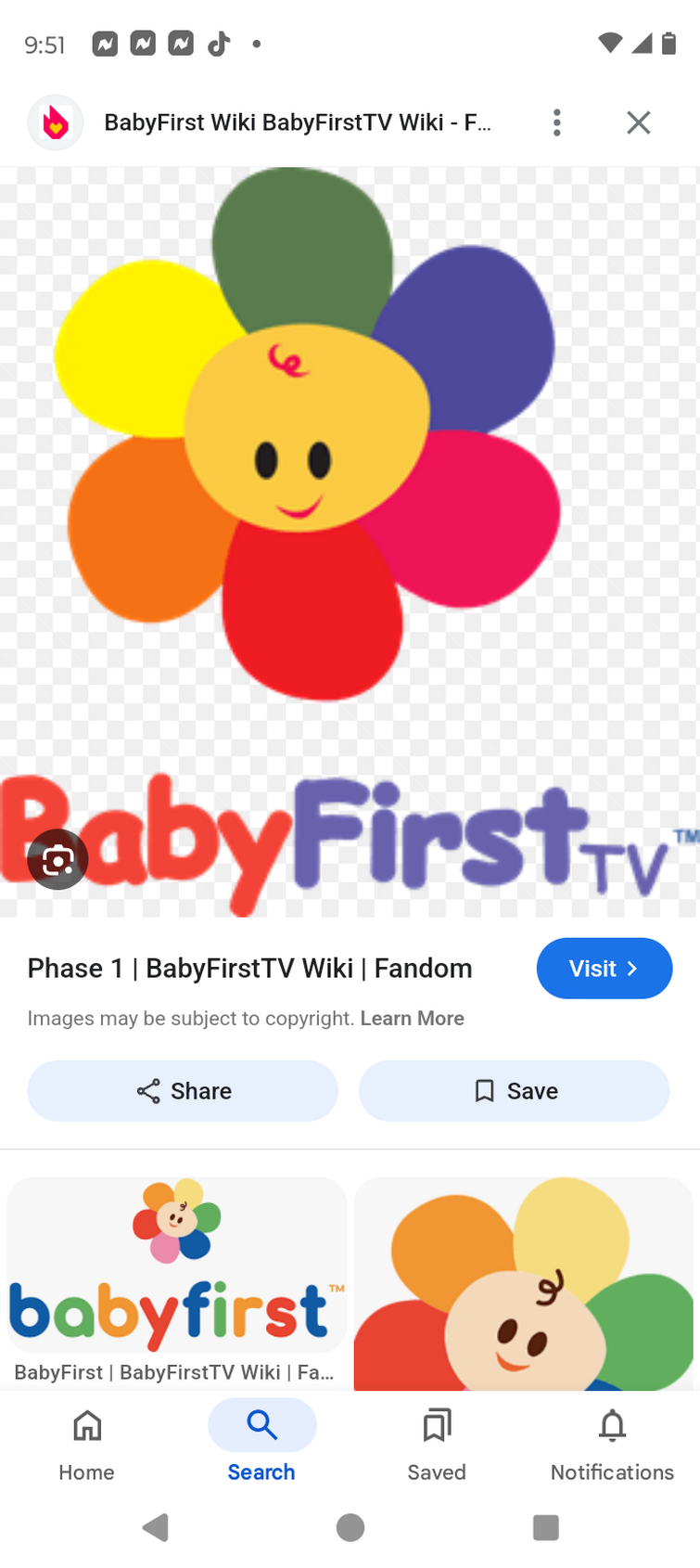 Fandom Image