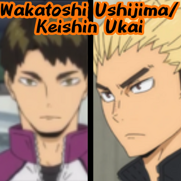 Keishin Ukai, Haikyū!! Wiki