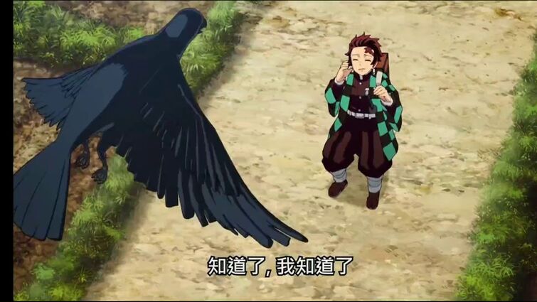鬼滅之刃-烏鴉除了南南東，還會說淦x涼？！