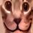Avatar de Tuchisios