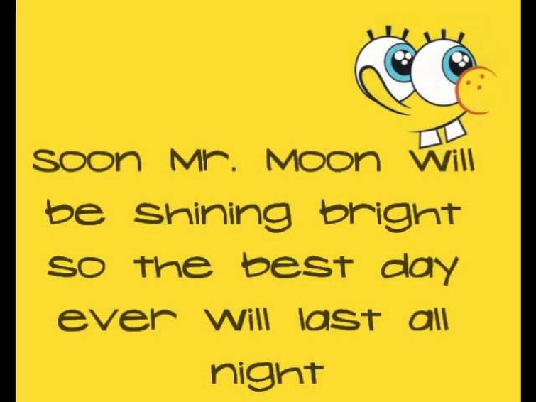 This is the best day ever. Spongebob best Day ever. The best Day ever Spongebob Lyrics. The best Day ever Spongebob Night. The best Day ever Spongebob Lyrics Wiki.