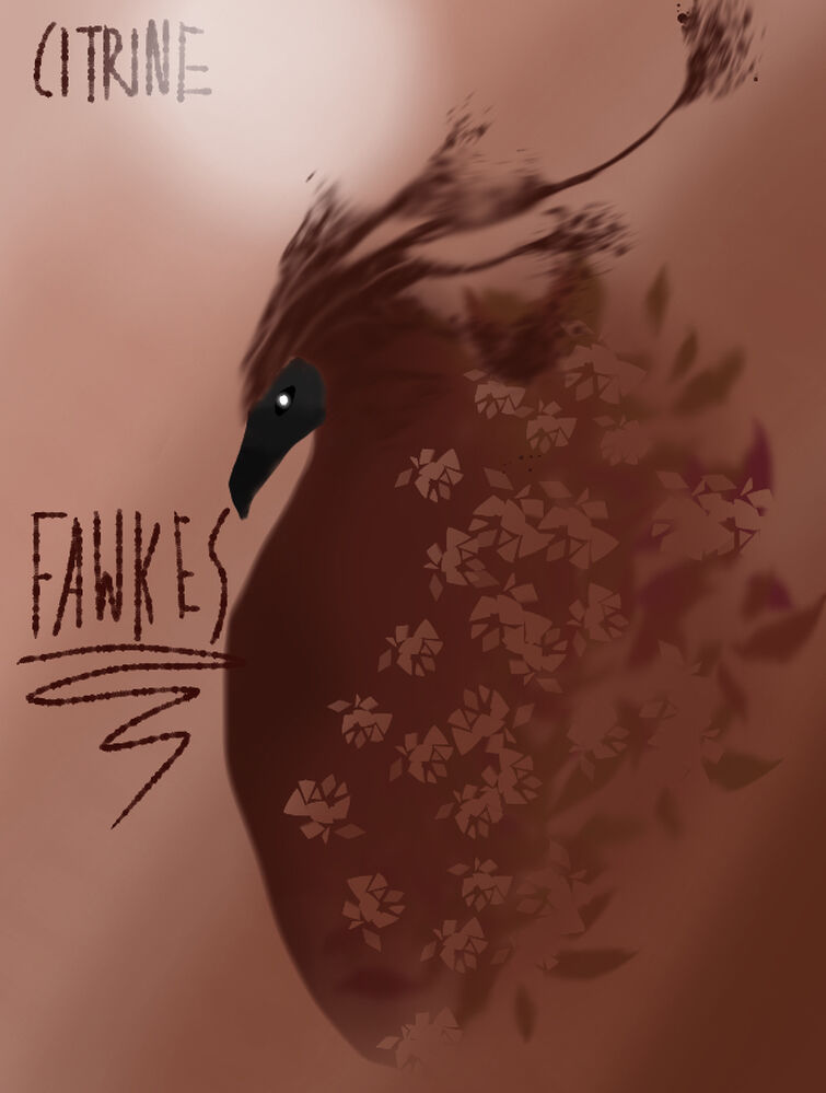 Fandom Image