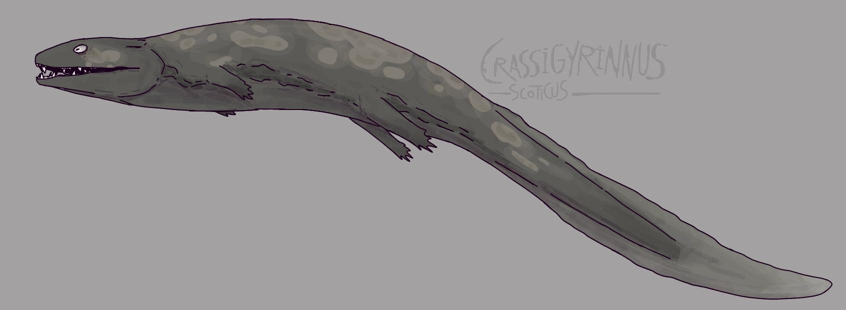 Crassigyrinus scoticus drawing | Fandom