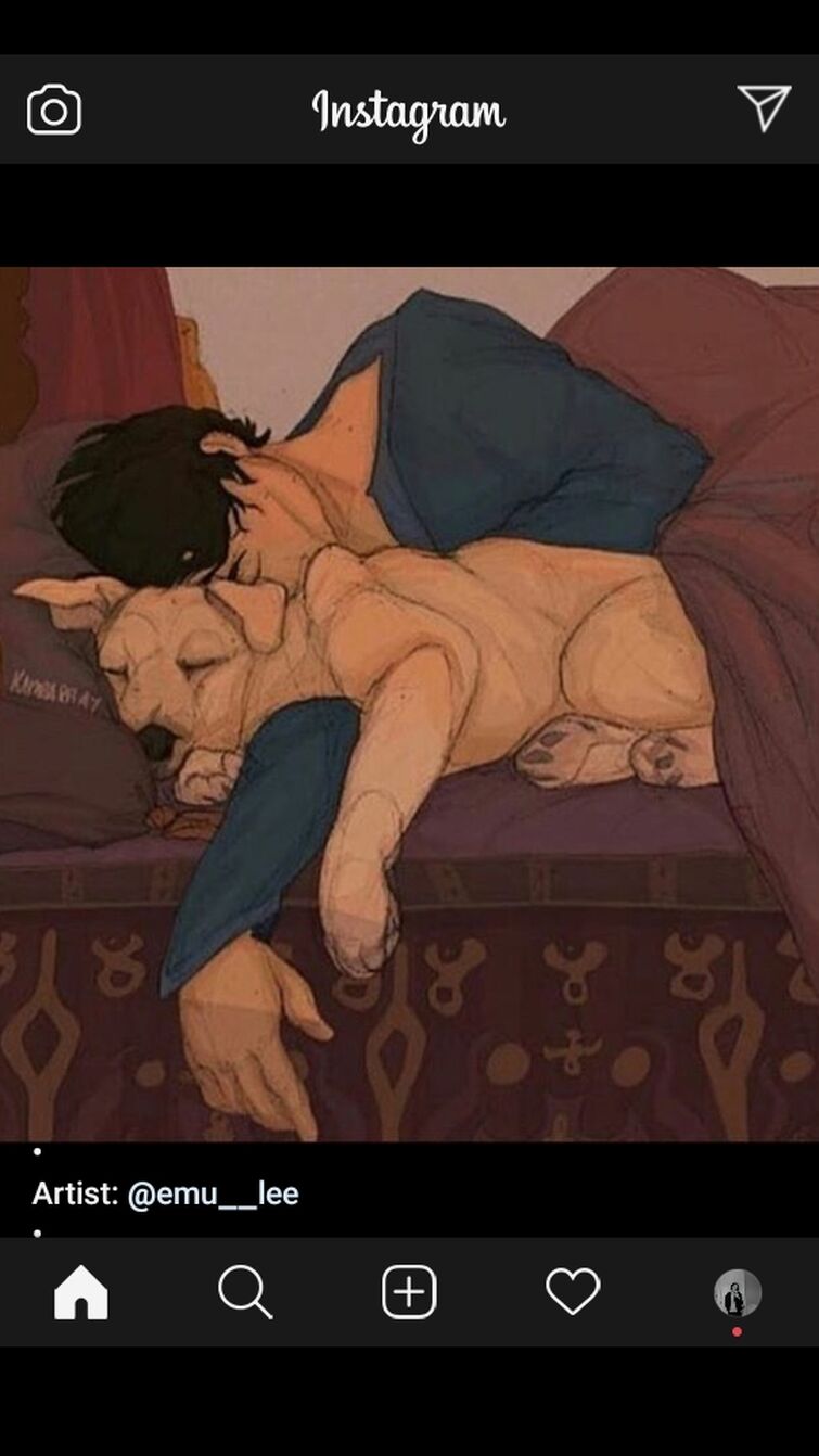 Fandom Image