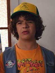 Dustin Henderson Once Said | Fandom