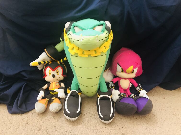 Sonic Box Set: Team Chaotix Action Figure : : Toys