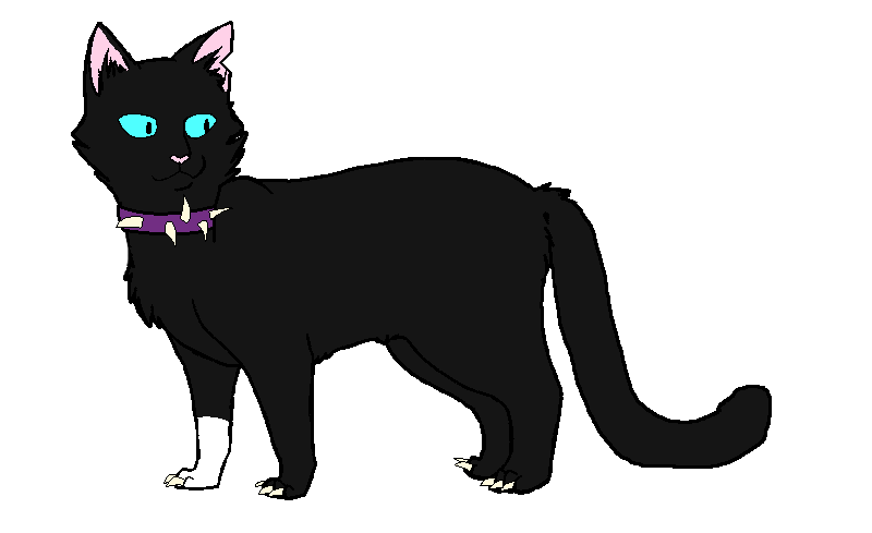 Угадай кота воителя по картинке