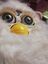 InkyFurby's avatar