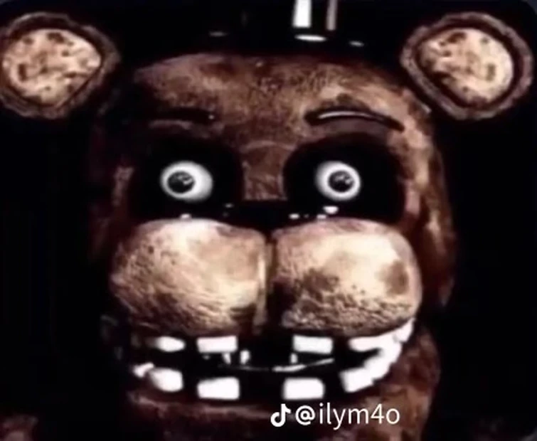 What does fnaf stand for wrong answers only Fandom