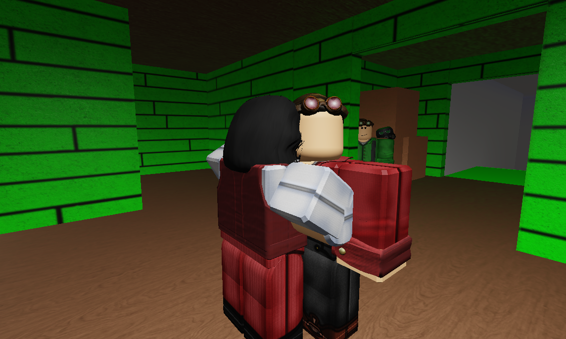 Meet the Doctor (Roblox TC2) 