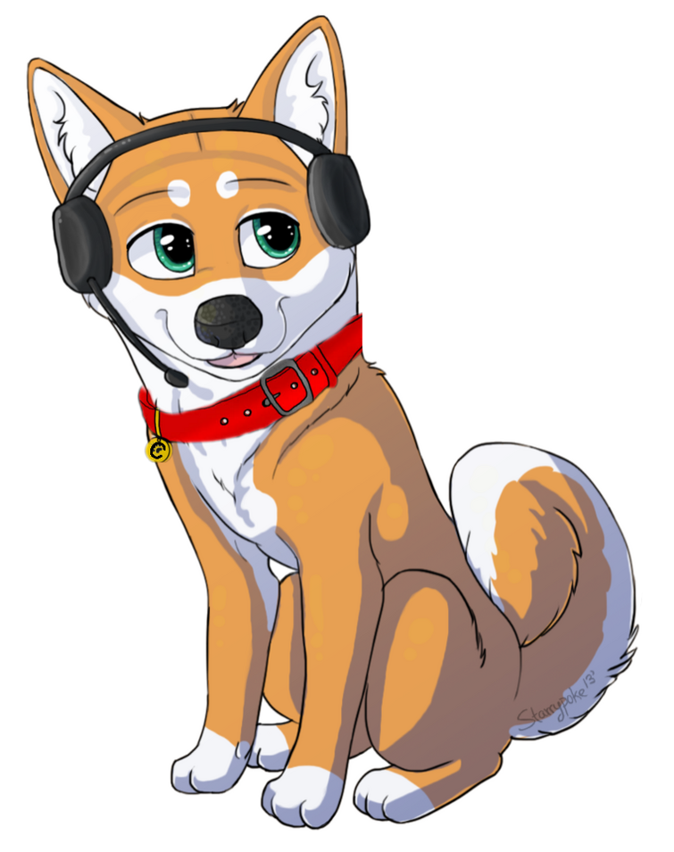 Shiba Inu  The Fandom Post