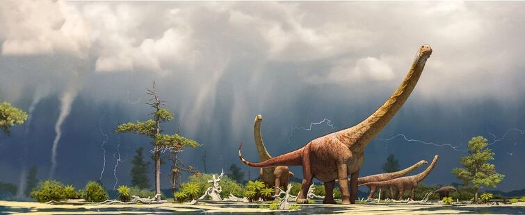 Name This Sauropod! -Hard | Fandom