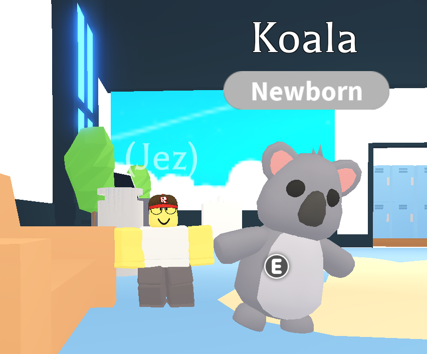 Roblox Adopt Me Pets Koala Koala Adopt Me Bear