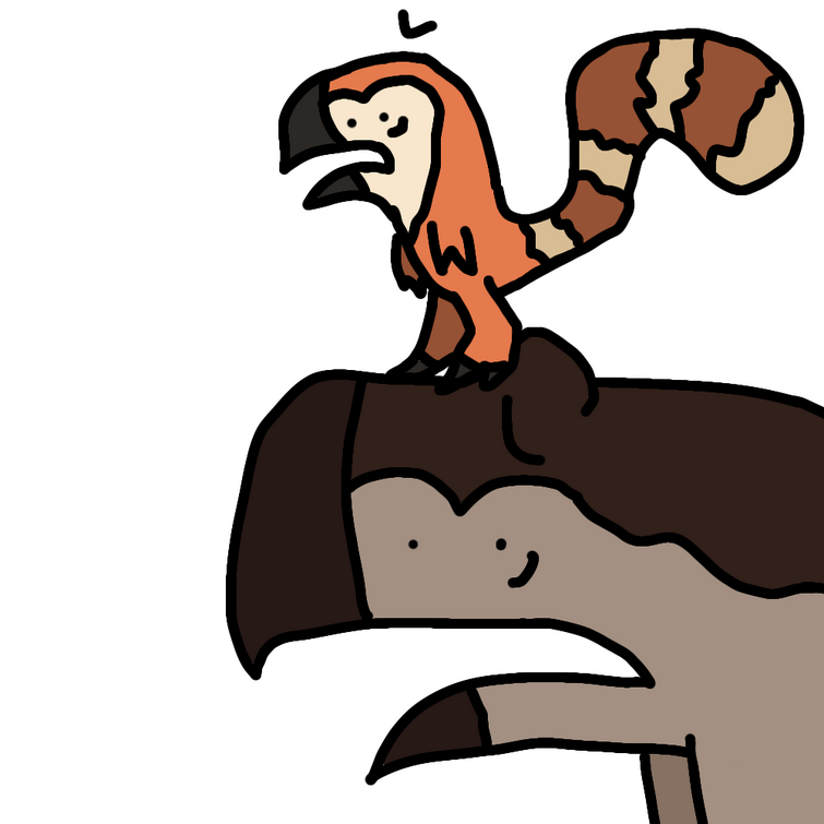 Fandom Image