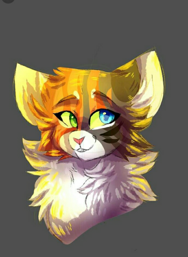 ur mom on Instagram: "SCOURge also uh i haven’t drawn cats in a while so i’m sor