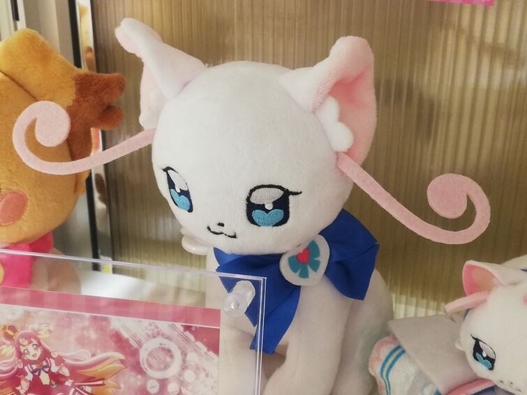 Fandom Image