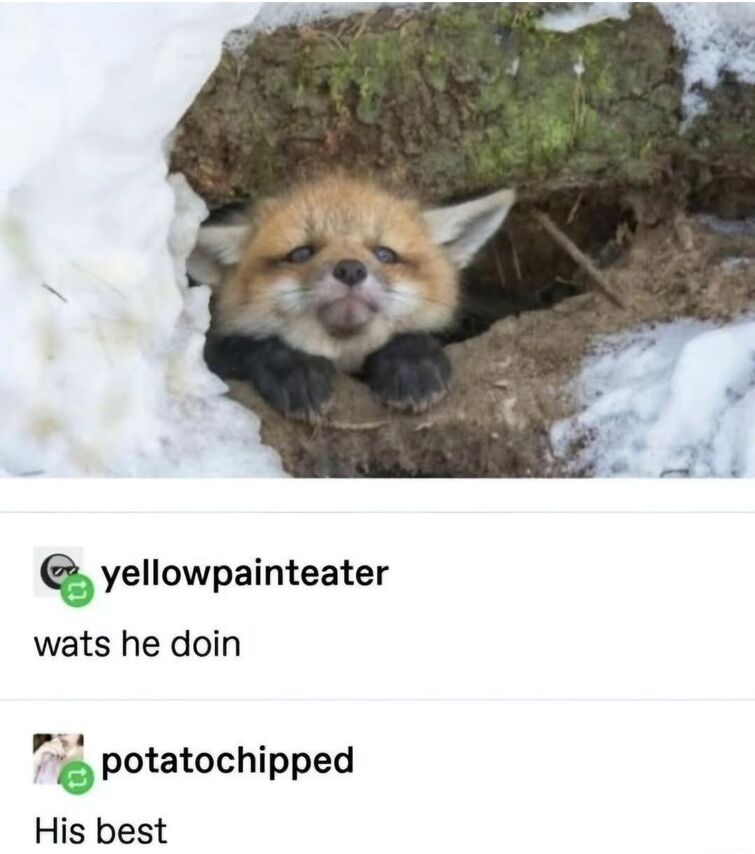 Fandom Image