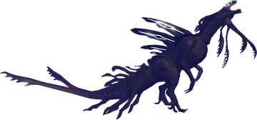 Facts with kora | Fandom