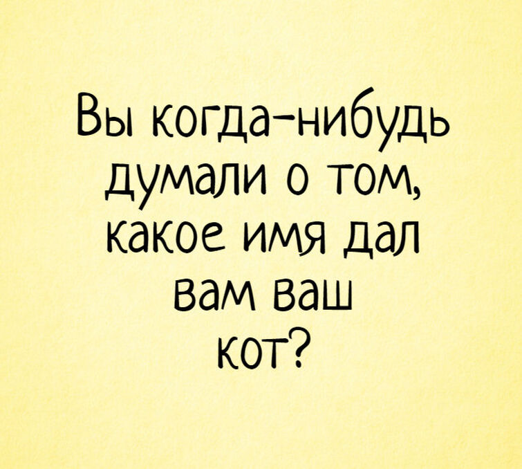 Думаю что нибудь. Какое имя дал вам ваш кот. Вы когда нибудь задумывались. Вы не задумывались какую кличку дал вам ваш кот. Ты когда нибудь думала о.