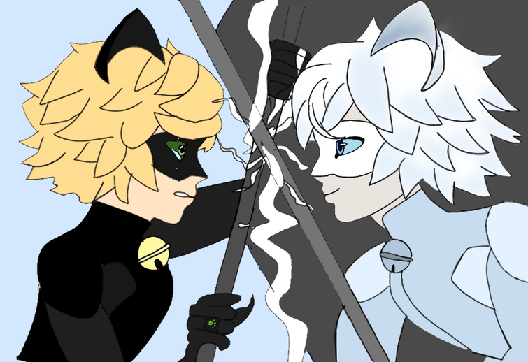 Chat Noir and Chat Blanc Fandom