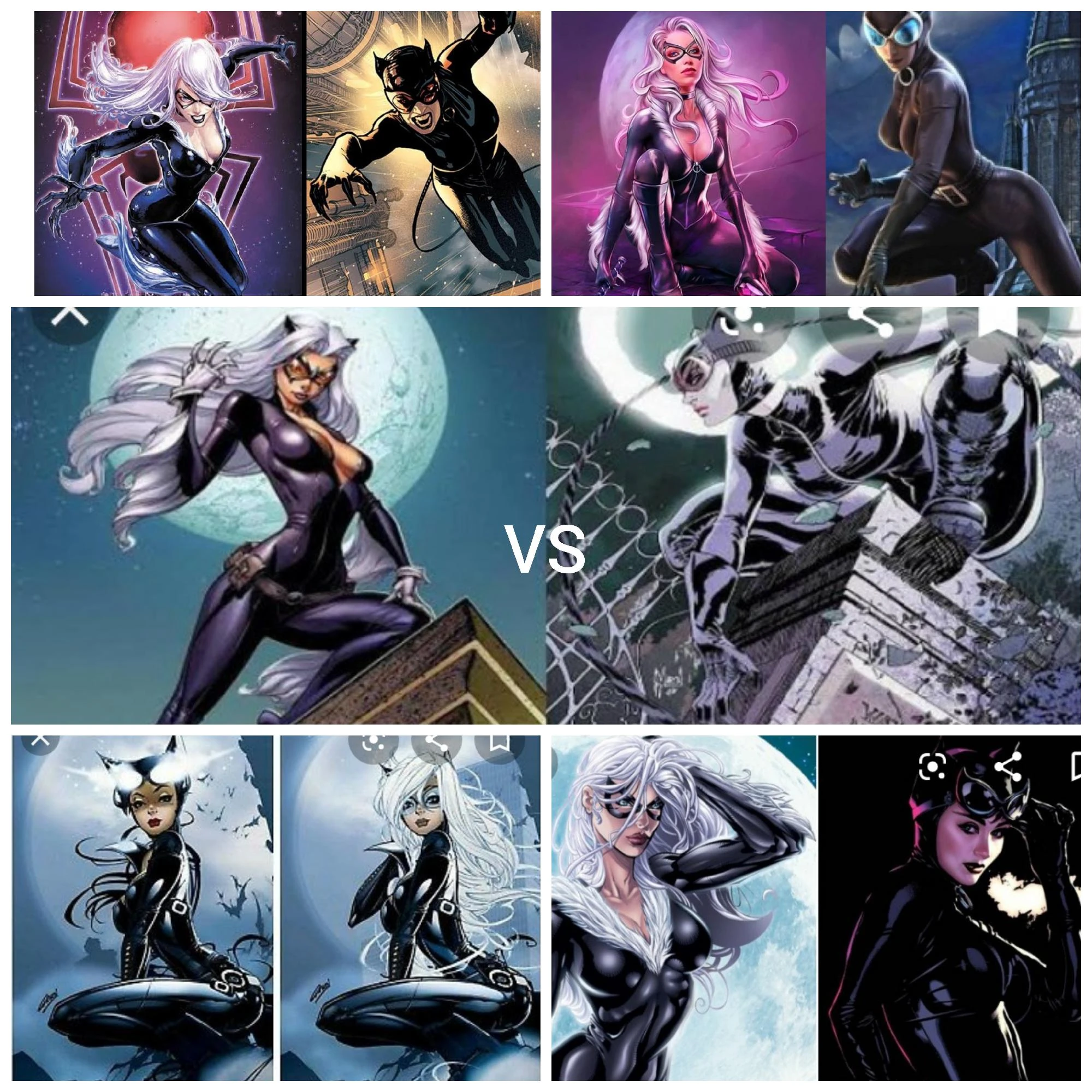 Biggest Cat Fight BLACK CAT VS CATWOMAN Fandom