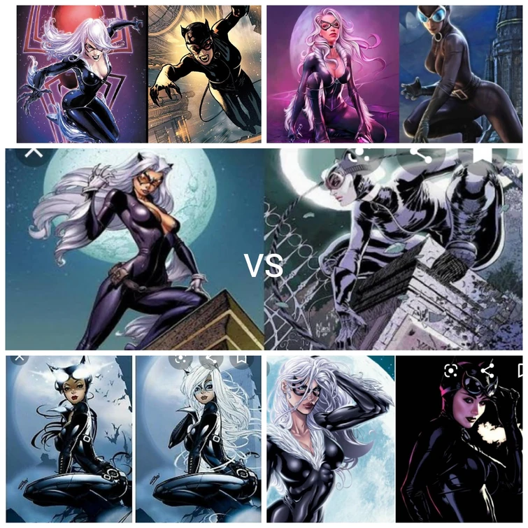 Biggest Cat Fight BLACK CAT VS CATWOMAN Fandom
