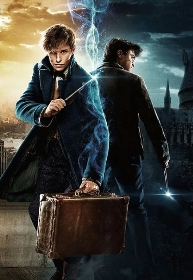 Whose time did you like the most Newt Scamander OR Harry Potter Fandom