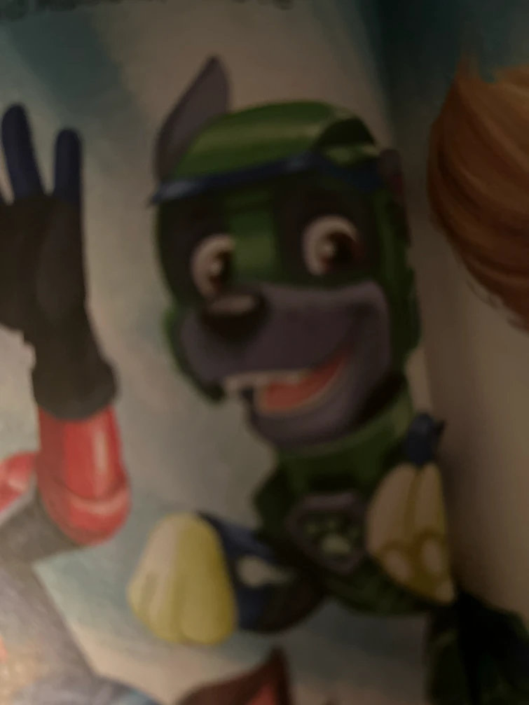 Rocky in a golden book | Fandom