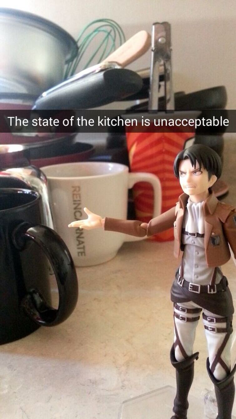 Fandom Image