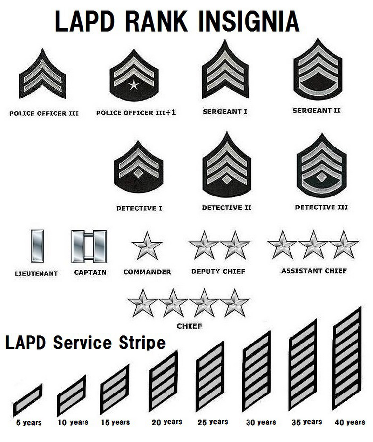 Type ranks. Ранги полиции США. Структура званий в полиции США. Иерархия званий в полиции США. LAPD нашивки звания.