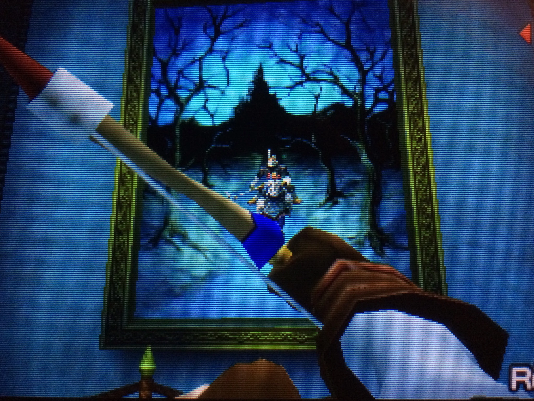 Chronicles of the Heroes of Hyrule Fandom