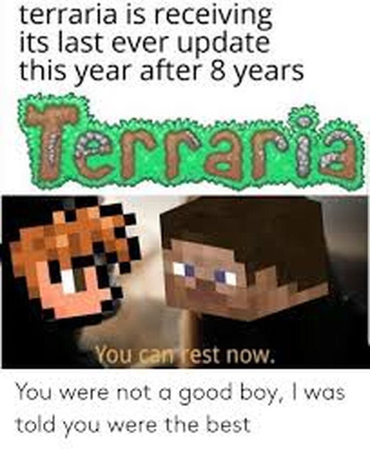 r/Terraria 🌳 on X: Finally I bought it and it was with my first salary    / X