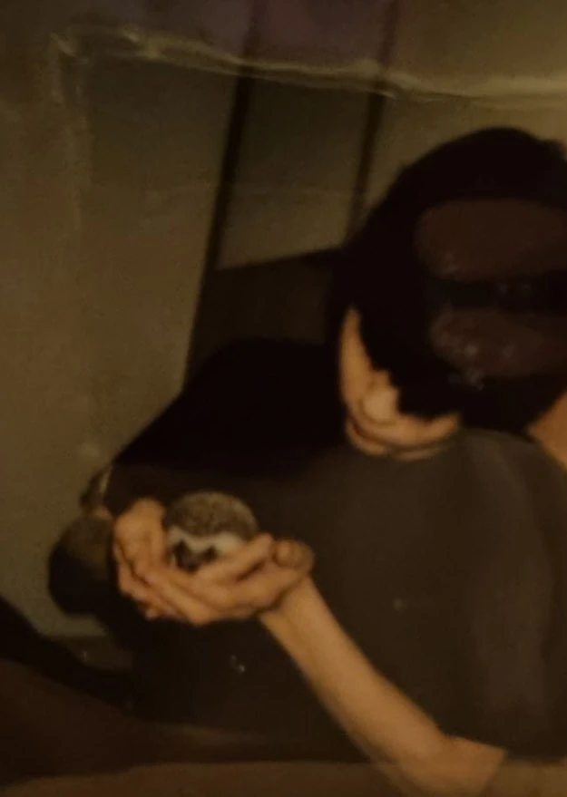 I want to be odi.. | Fandom