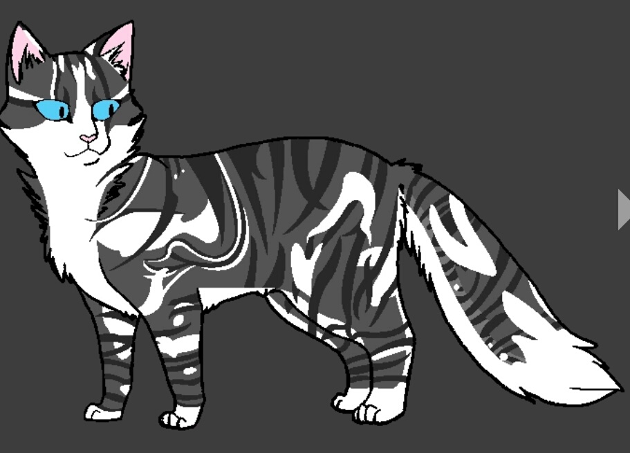 Карта коты воители в роблоксе