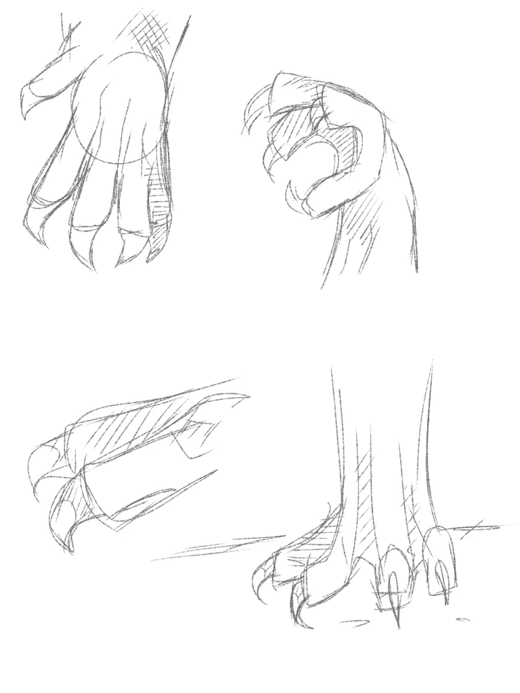 Лапы дракона картинки