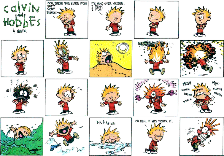 this is my favorite calvin and hobbes comic :) | Fandom