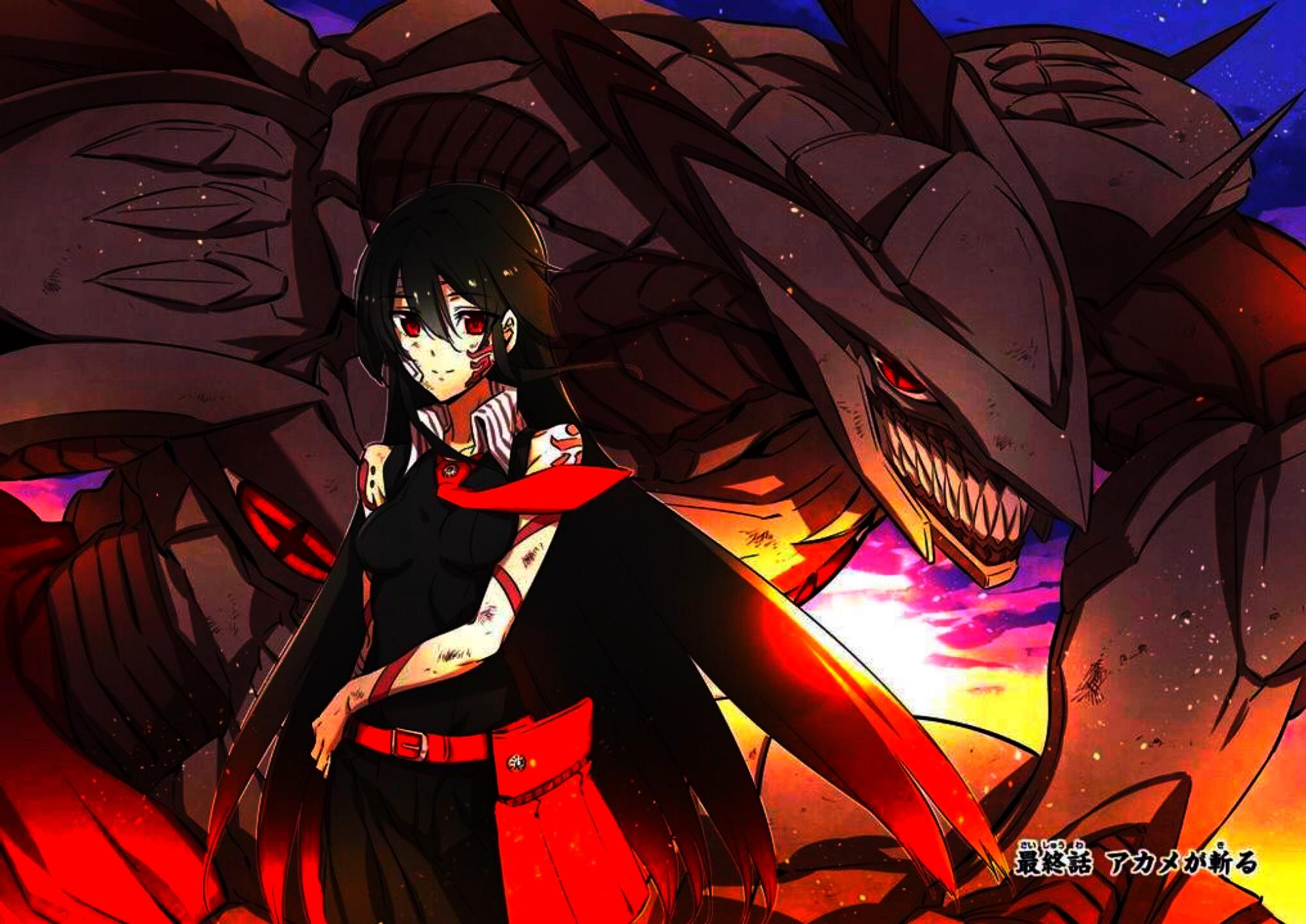 Akame ga Kill!: Will There Ever Be a Season 2?