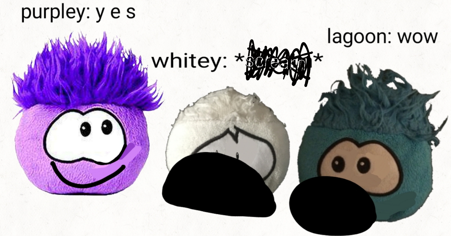 New Puffle Has Joined The Sever Fandom - roblox bear whitey