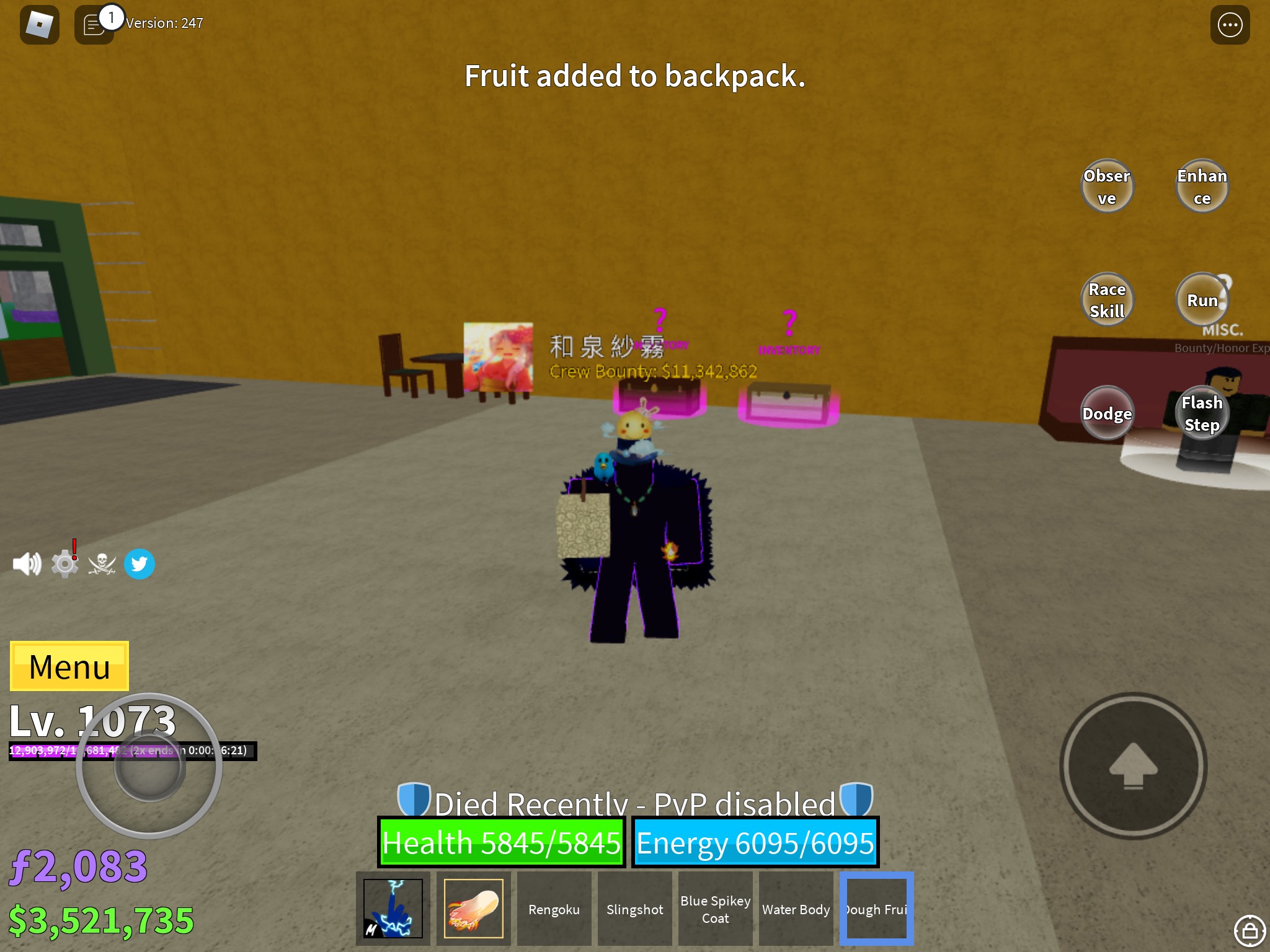 just a random picture of blox fruits i took (idk if this counts as
