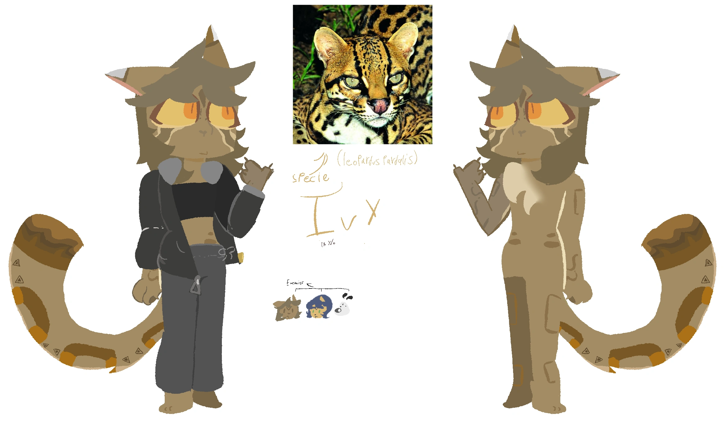 adding-this-up-hey-this-is-ivy-the-ocelot-fandom