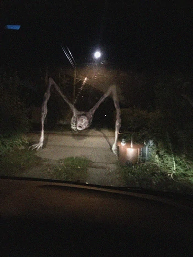 Followed You Home Is NOT, The Country Road Creature | Fandom
