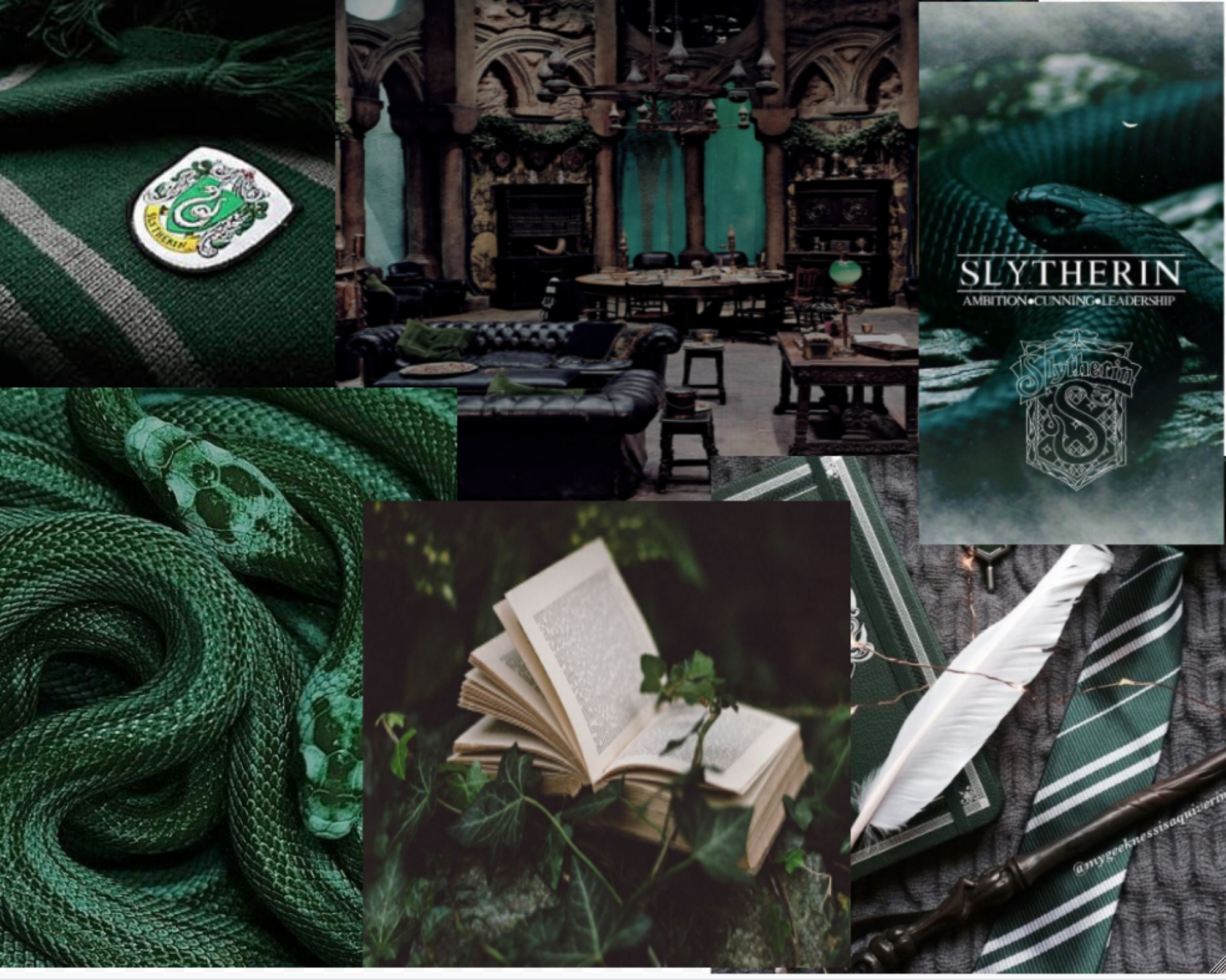 My Slytherin Aesthetic Fandom