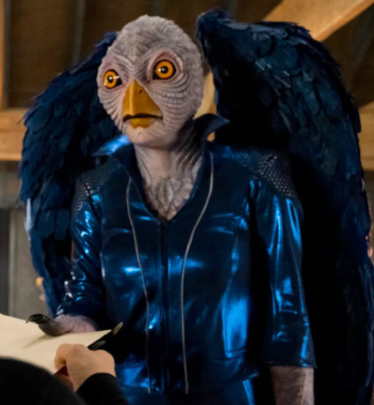 Fandom Image