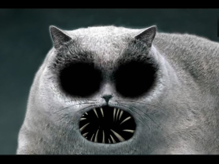 ambush looks like scary cat from Flapjack adventures Fandom