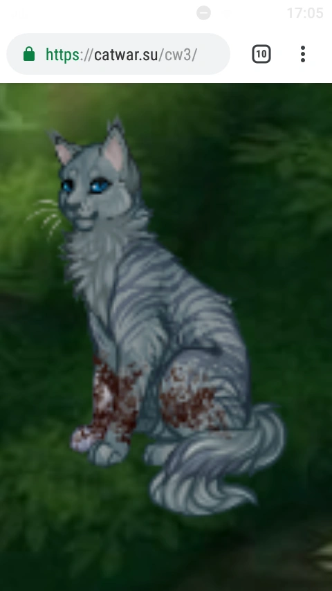 Карта вт кэтвар